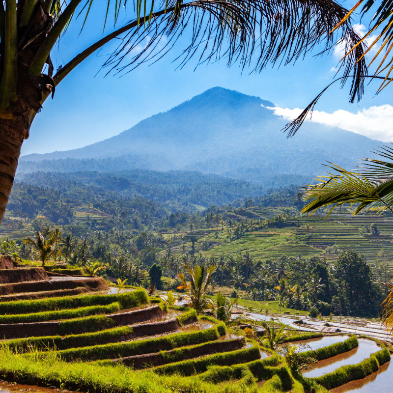 Bali, la isla de los dioses